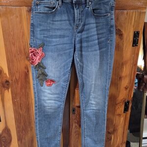 Express Blue Jeans with Red Floral Embroidery